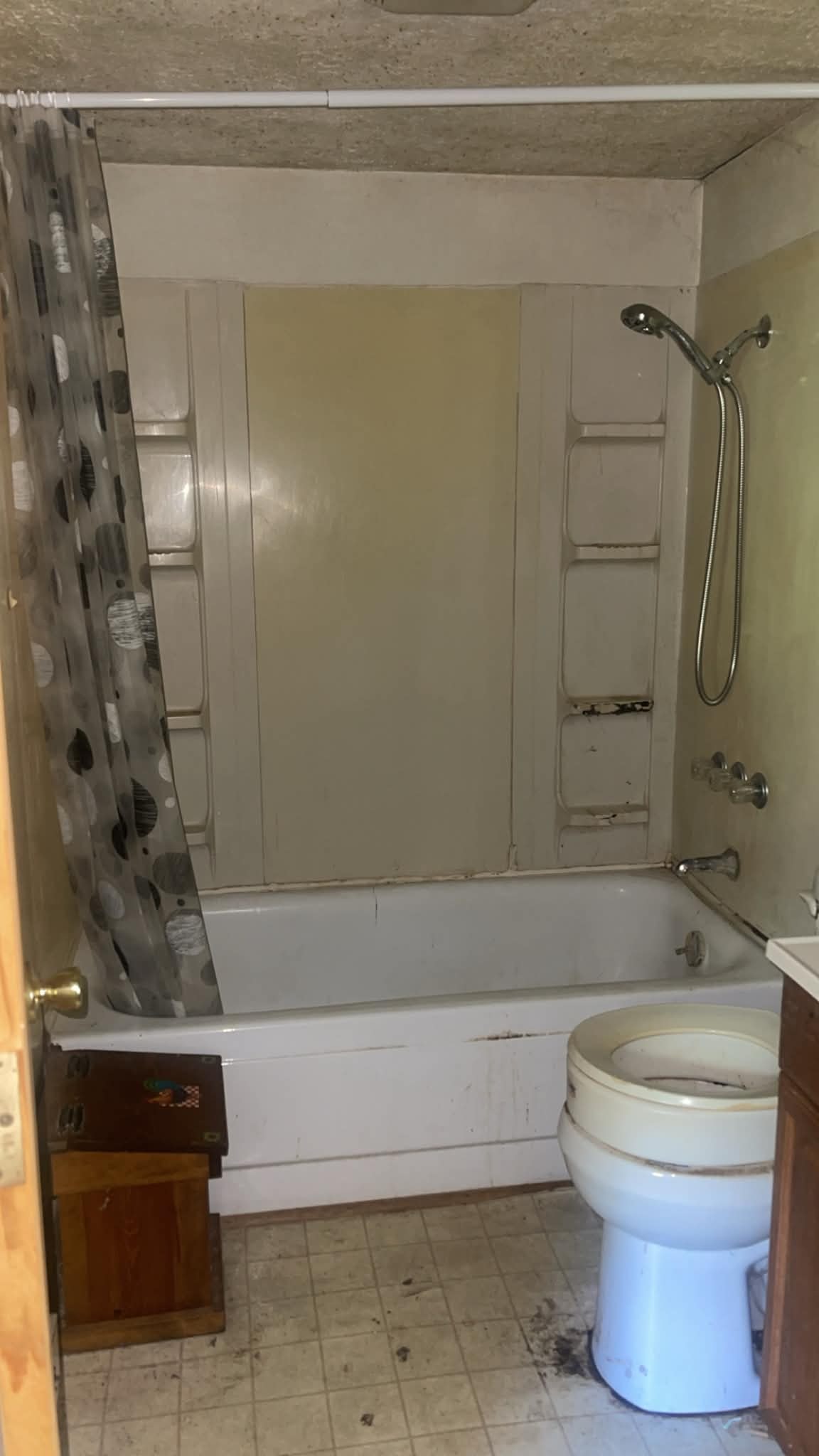 Bathroom Remodel — before